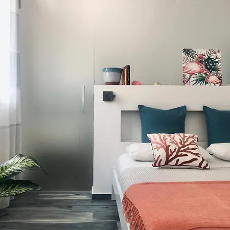 Calida B&B-3